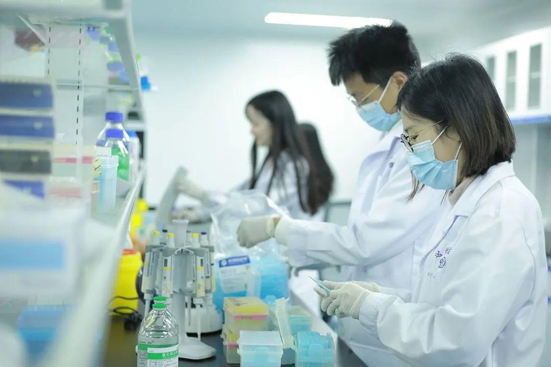 生物医药园区招商人必须要懂的药物研发知识