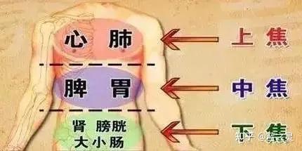 人体的三焦经,一堵要命,及时疏通,让身体更健康 - 知乎