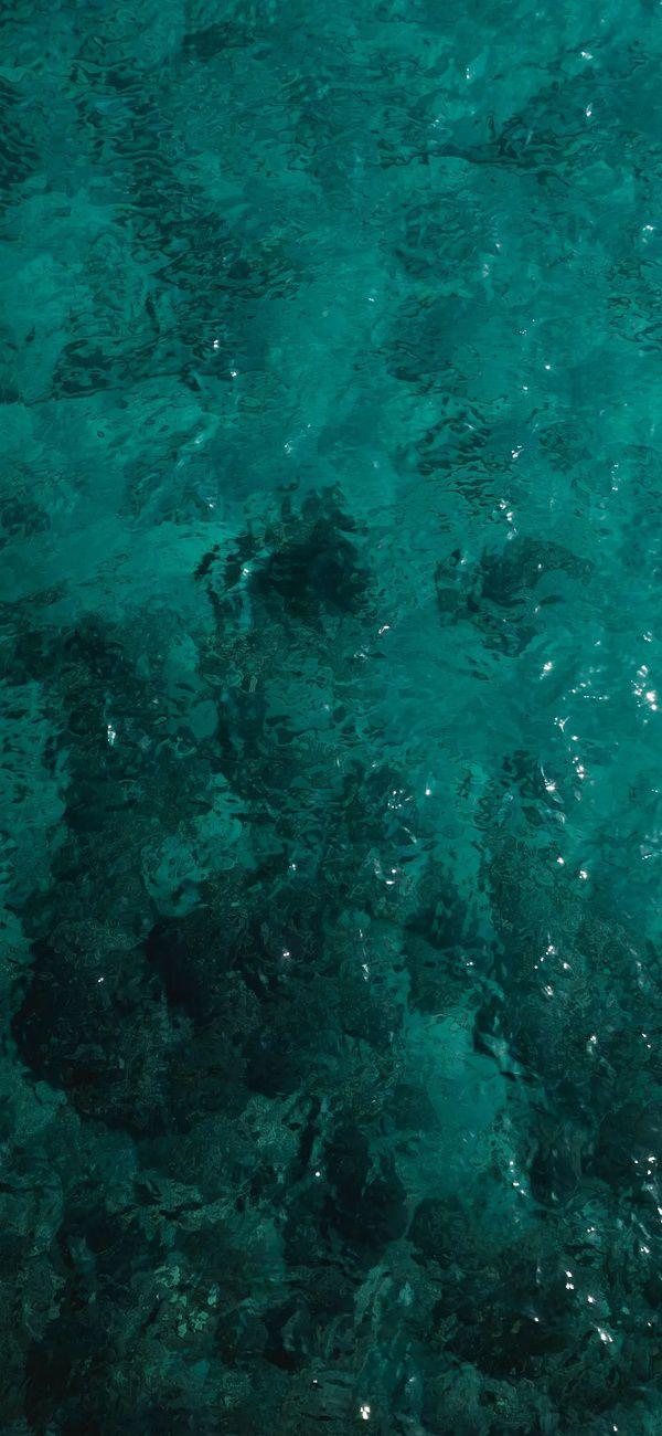 有哪些让你一眼万年的绿色系壁纸?(绿色壁纸大全图片清新自然)