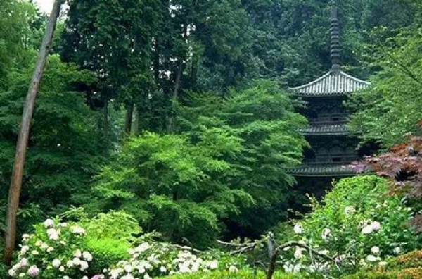 日式庭院植物选择和配置方法 知乎 日式庭院植物选择和配置方法 知乎
