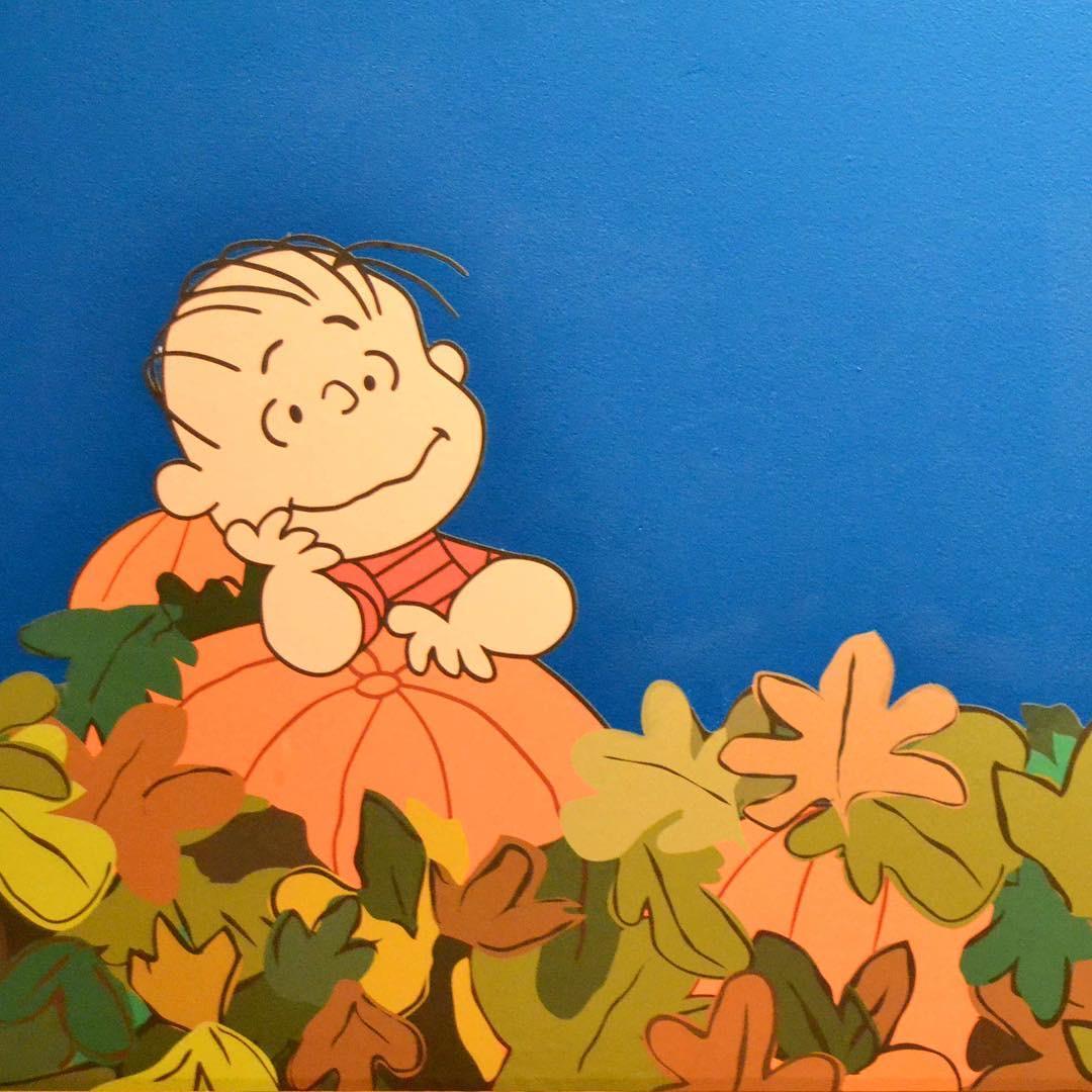 有没有史努比里面莱纳斯的壁纸或头像