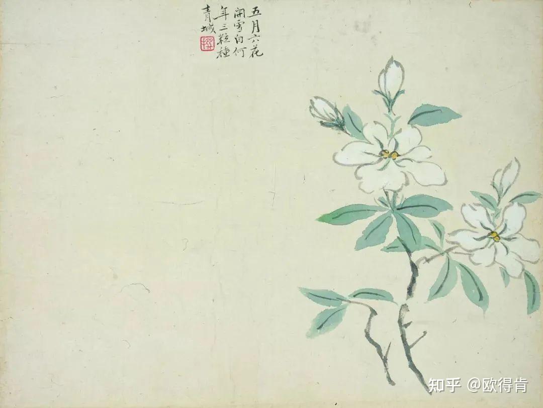 中国花鸟画技法——折枝 - 知乎