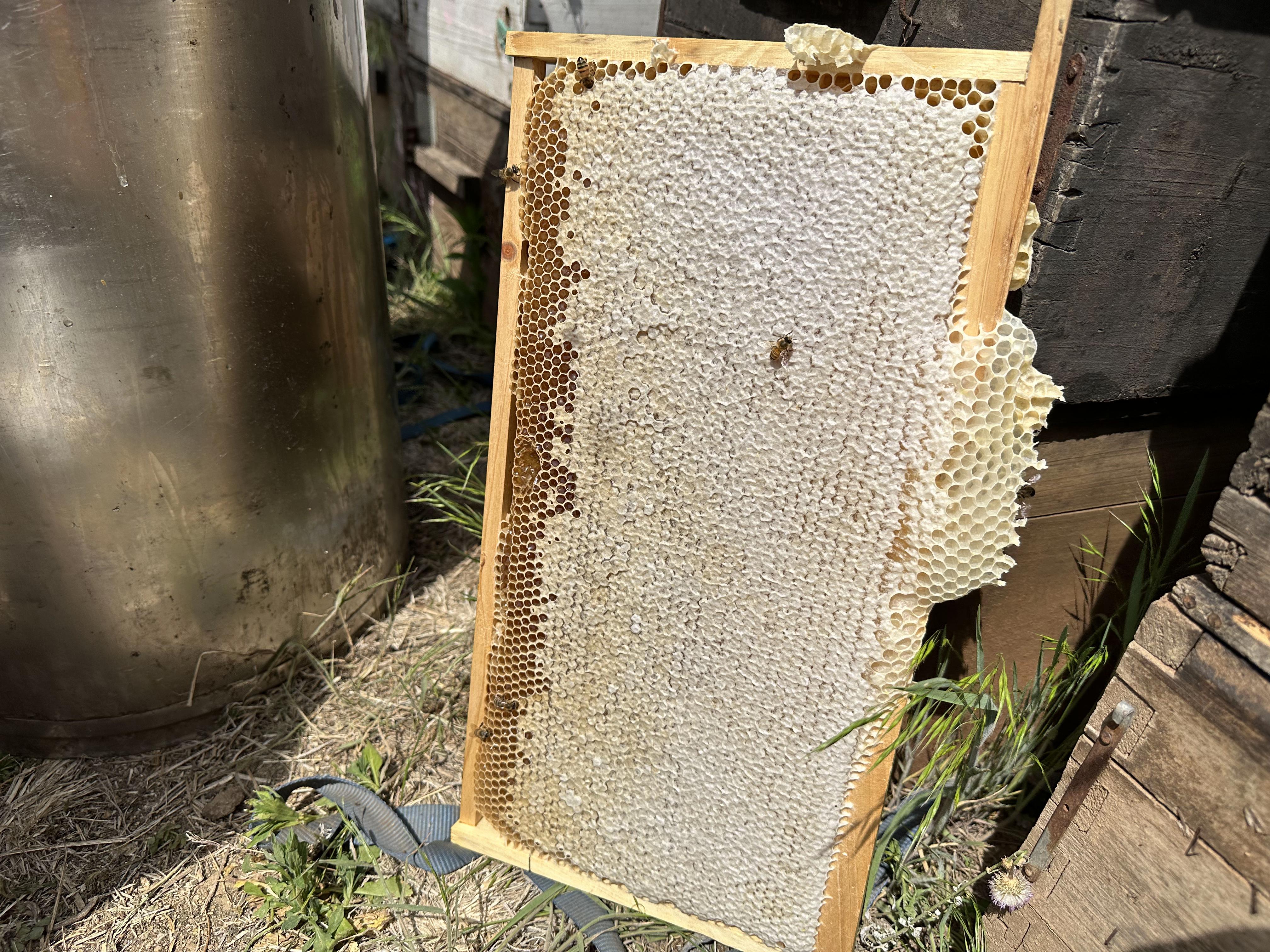 开封了的蜂蜜放冰箱能保存多久不变质(开封了的蜂蜜保质期是多久) 开封了的蜂蜜放冰箱能保存多久不变质(开封了的蜂蜜保质期是多久)