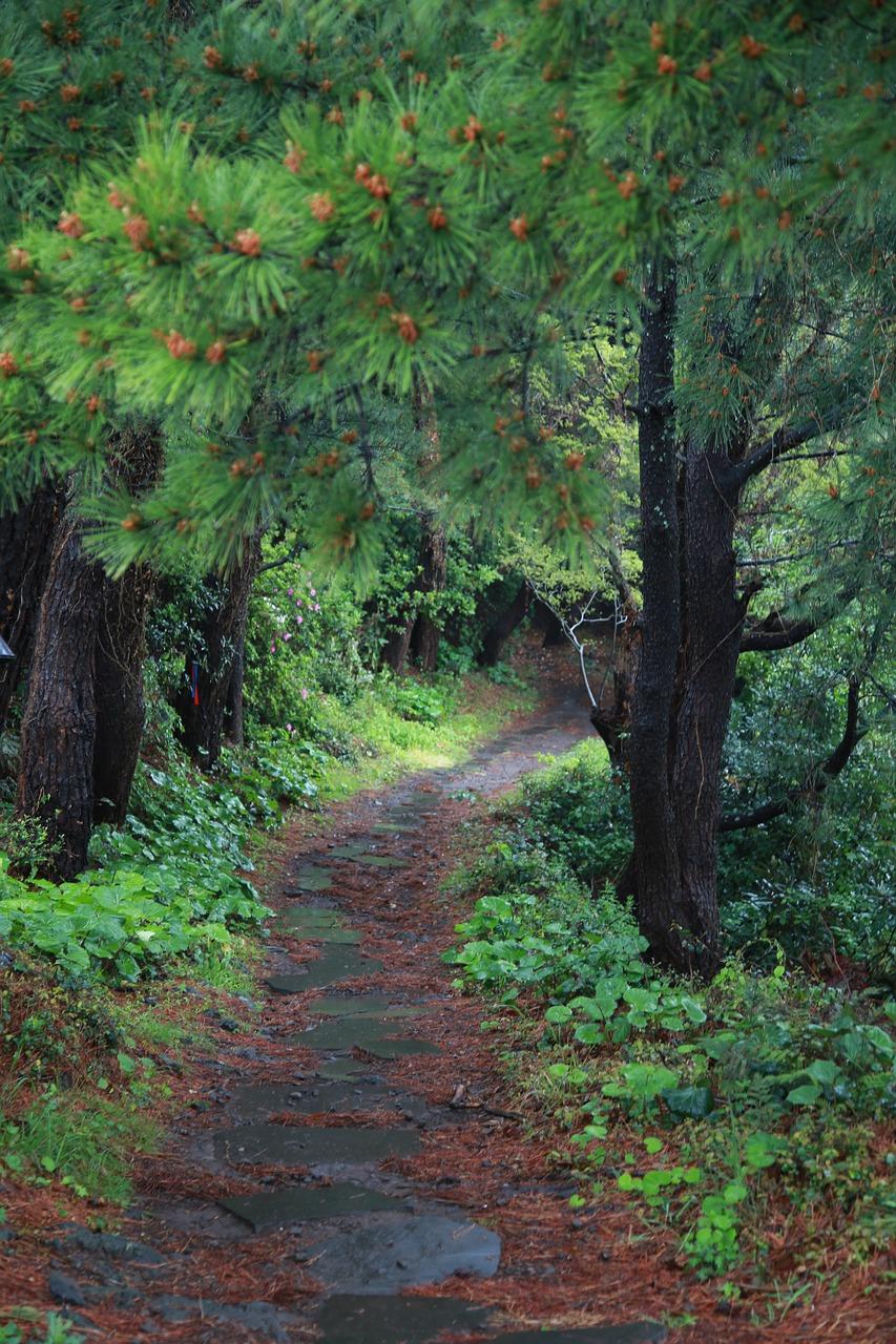 2. 防木变形攻略