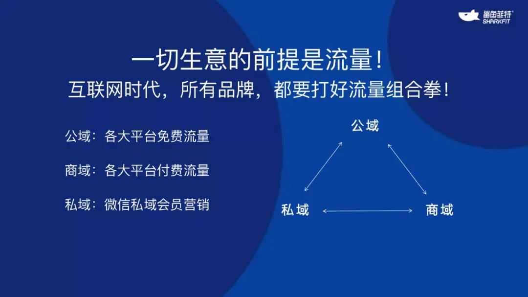 融资亿元3年增长200倍鲨鱼菲特强小明一切生意的前提是流量