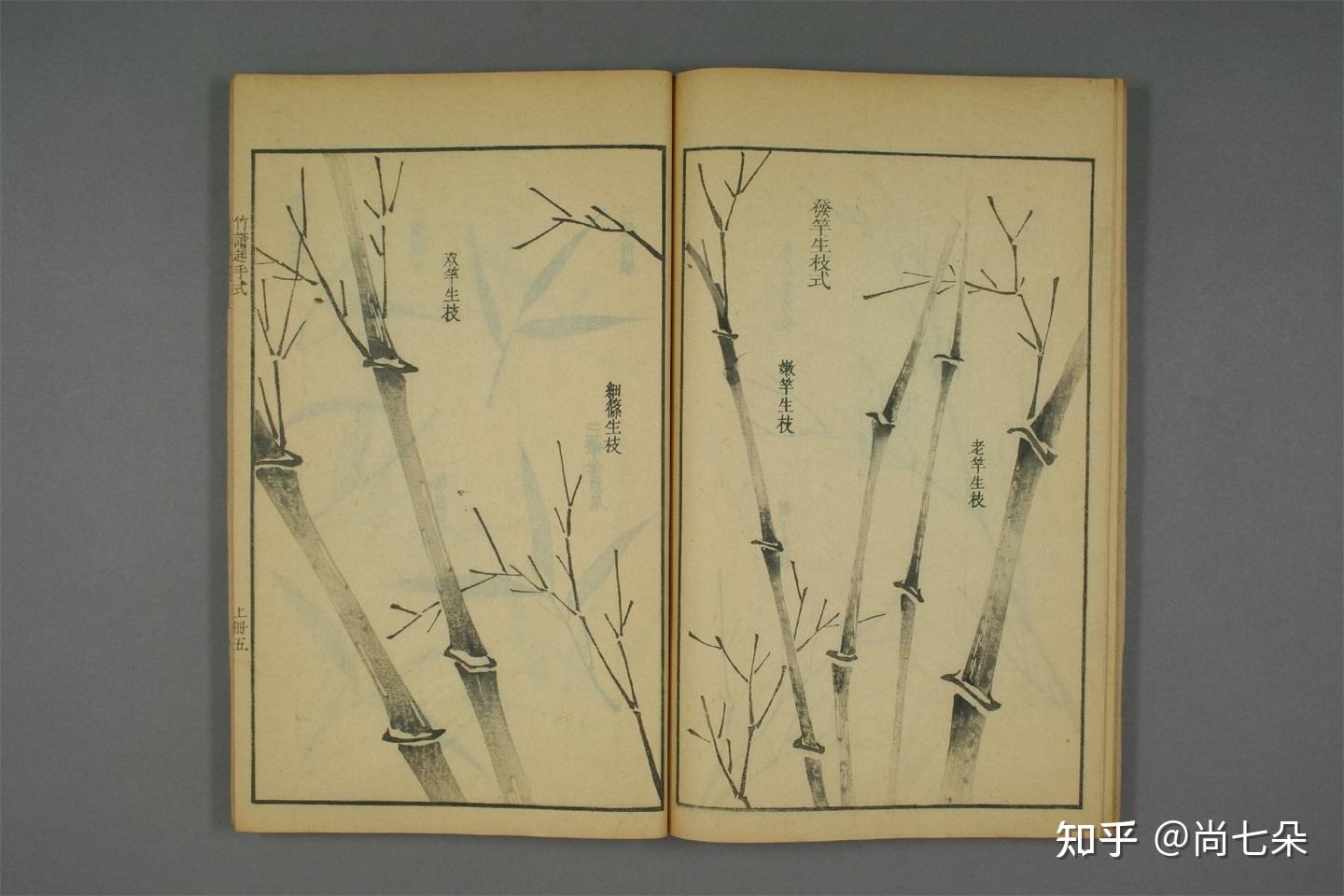 康熙40年芥子园画传 竹谱册上 国画竹子美术资料绘画素材图片保存第十二组 - 知乎