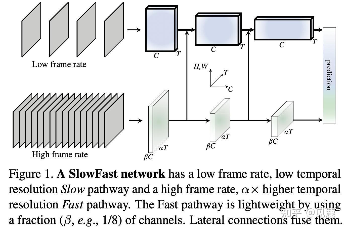 [No.63]「视频理解」SlowFast Networks for Video Recognition - 知乎