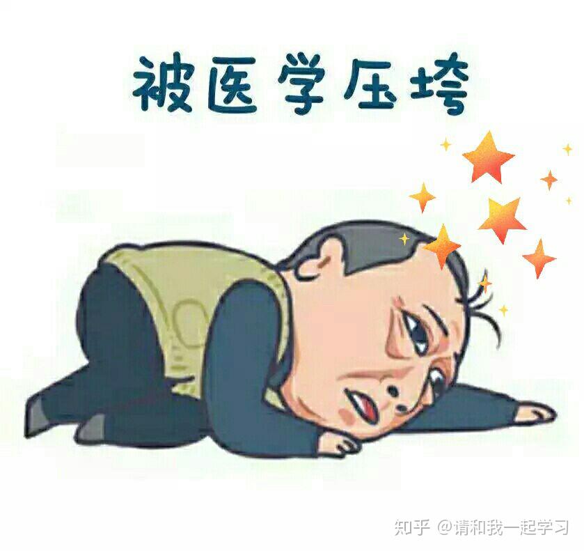 有哪些有趣的医学生专用的沙雕表情包