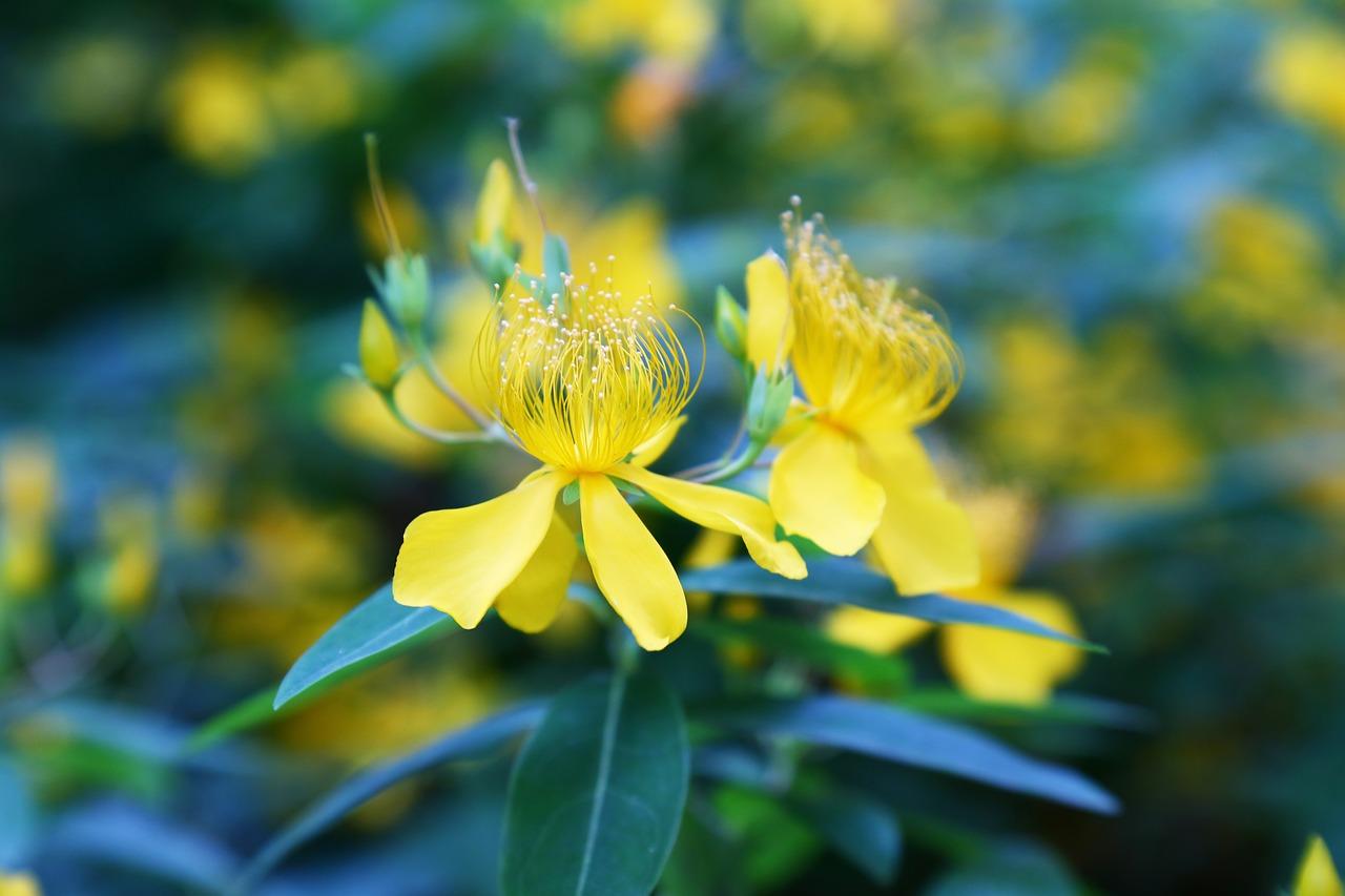 3. 品质生活配套