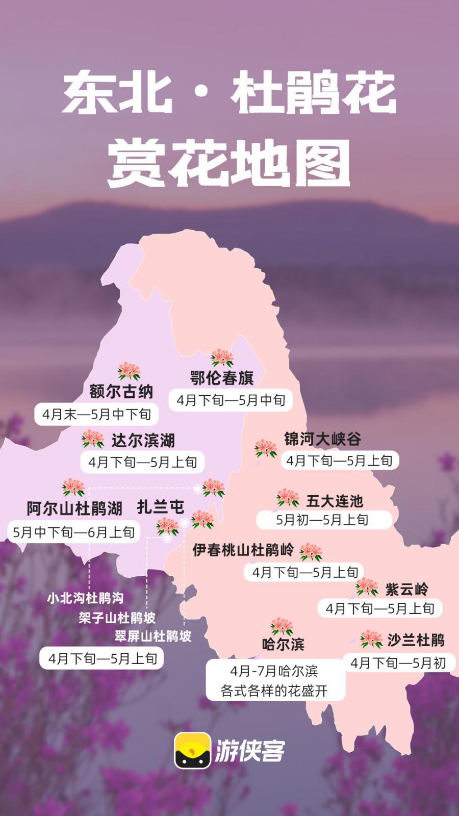 常州杜鹃花展地图图片