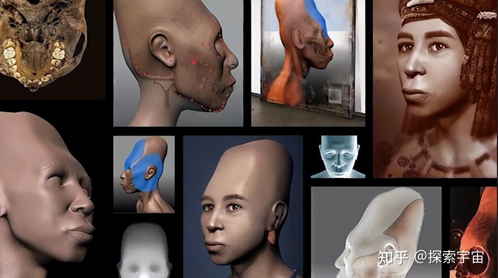 这些问题围绕着帕拉卡斯头骨,引发了无尽的争议和研究.