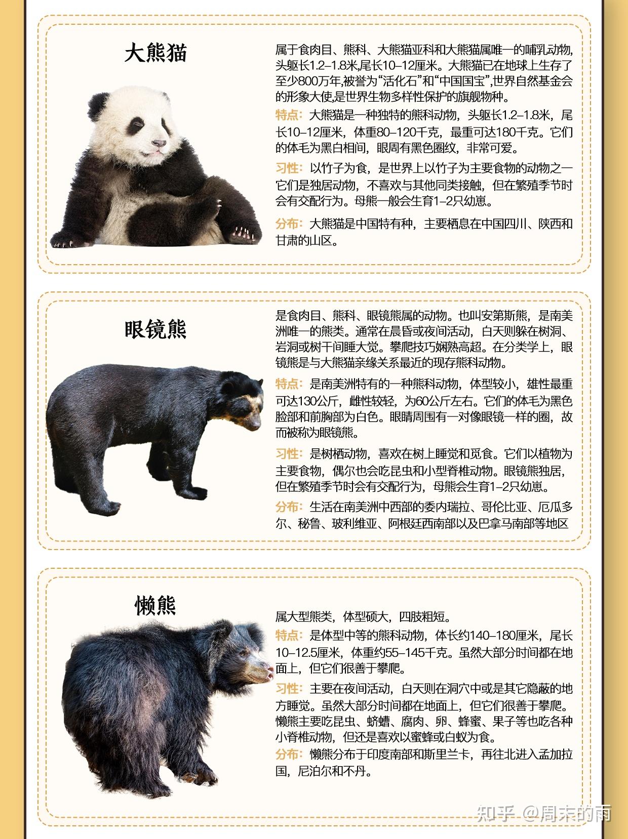 10大熊类图鉴大赏,大熊猫为什么不用冬眠? - 知乎