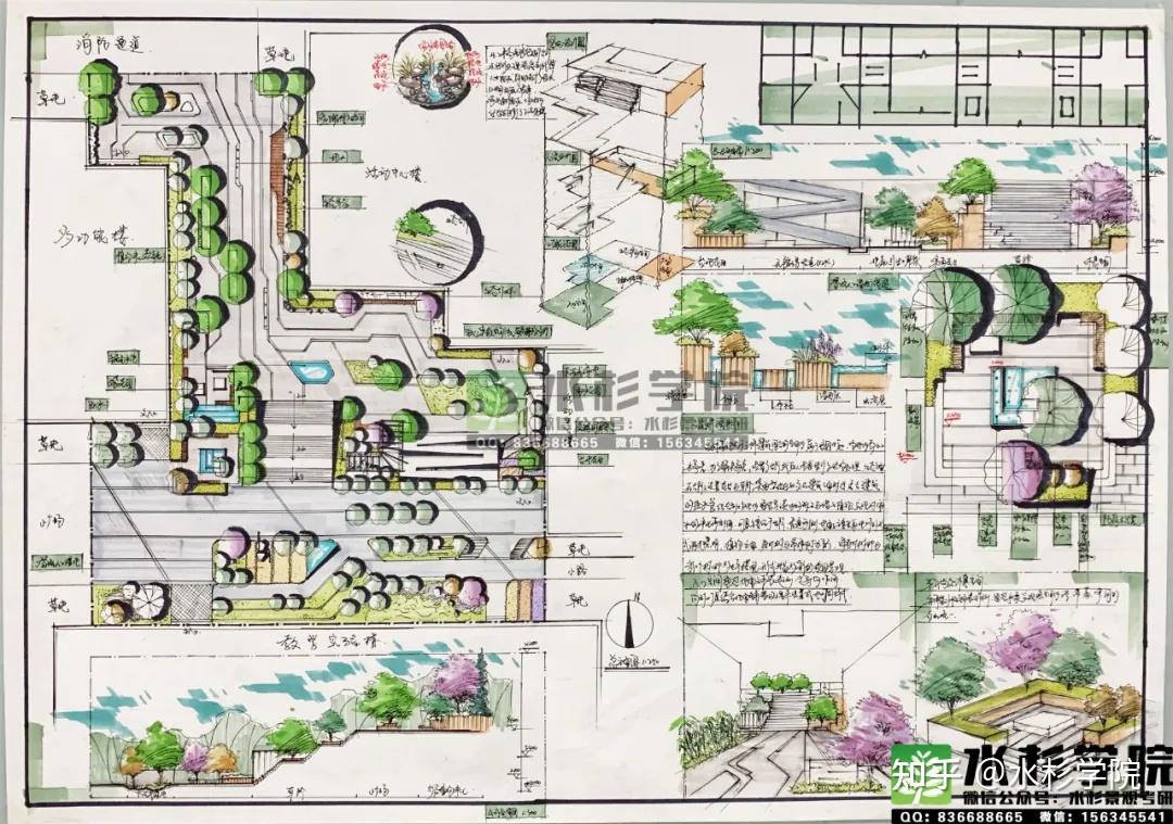 天大2021届水杉学院天津大学定向班喜报内附经验分享高分快题