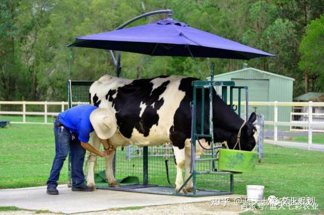 休闲农场塑造印象,如飞牛牧场以挤牛奶,塑造鲜活的印象;恒春生态农场