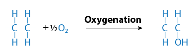 毒理学资格考试教程(10)生物转化 - 知乎