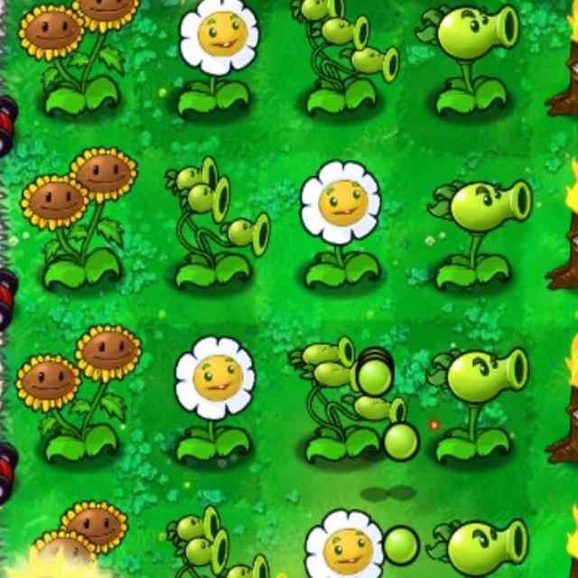 知乎日报 - 知乎