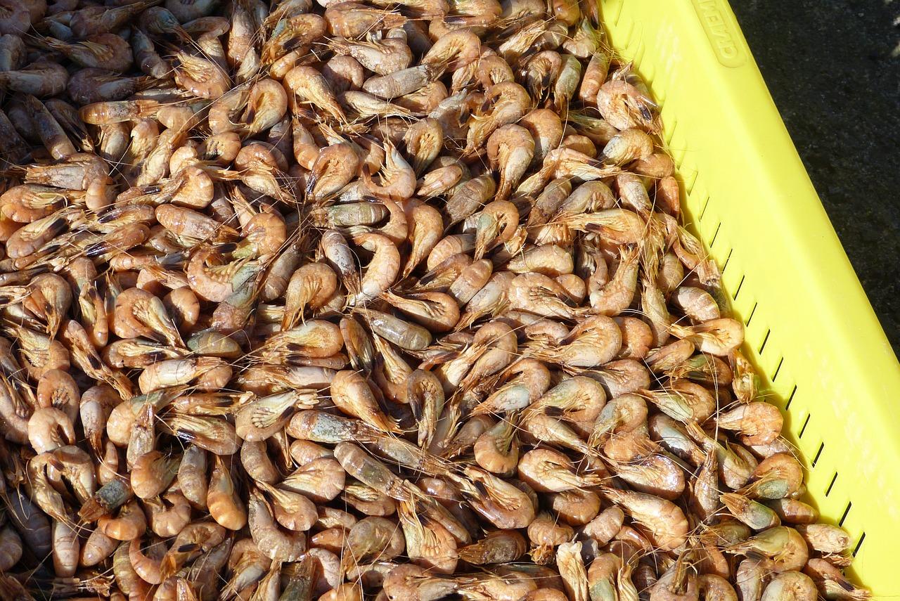 3. 澳龙新盘亮相