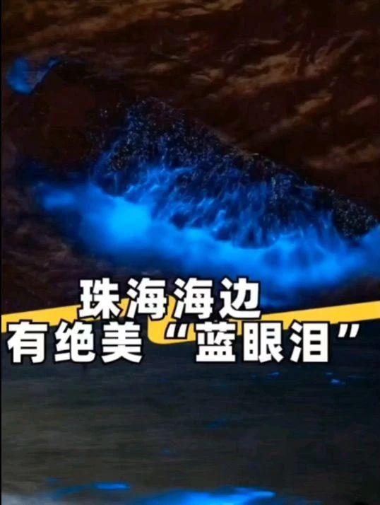 珠海海边惊现绝美的荧光海"蓝眼泪",配合夕阳真的好美