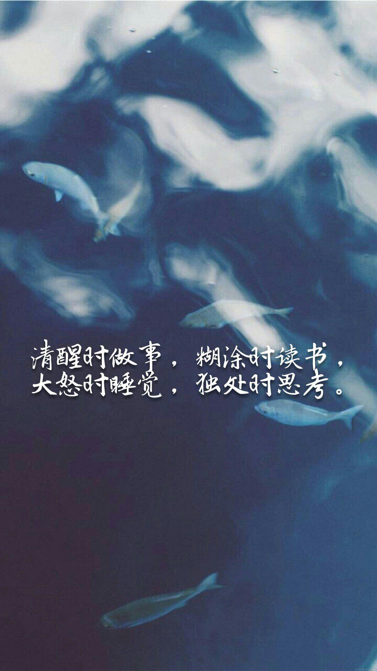 关于言多必失的壁纸