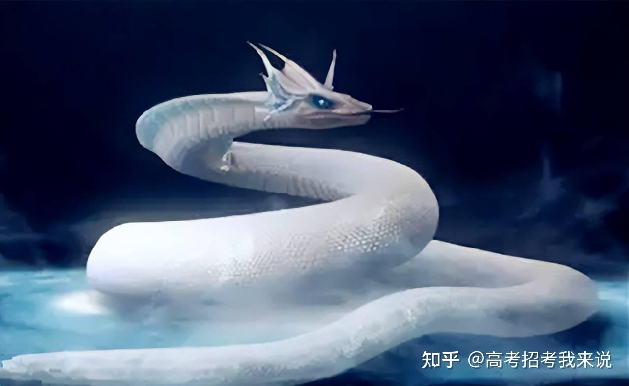 女人梦见白蛇爬上自己身上的梦境解析,神秘寓意与心灵启示 女人梦见白蛇爬上自己身上的梦境解析,神秘寓意与心灵启示