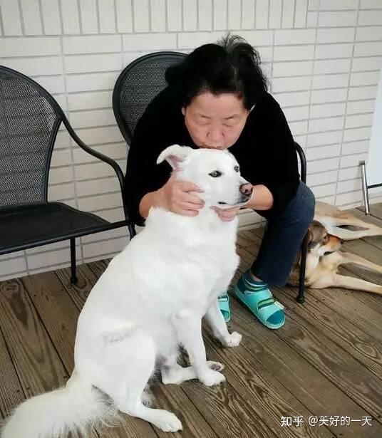 "养狗能改命"不是说说而已,这些依据,可以说服你! - 知乎