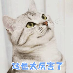 导师采访gpa不够高科研经历来弥补