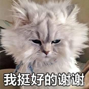 女生剪了短发,每天早上起来头发都是炸毛状态,在宿舍又不能早上常洗头