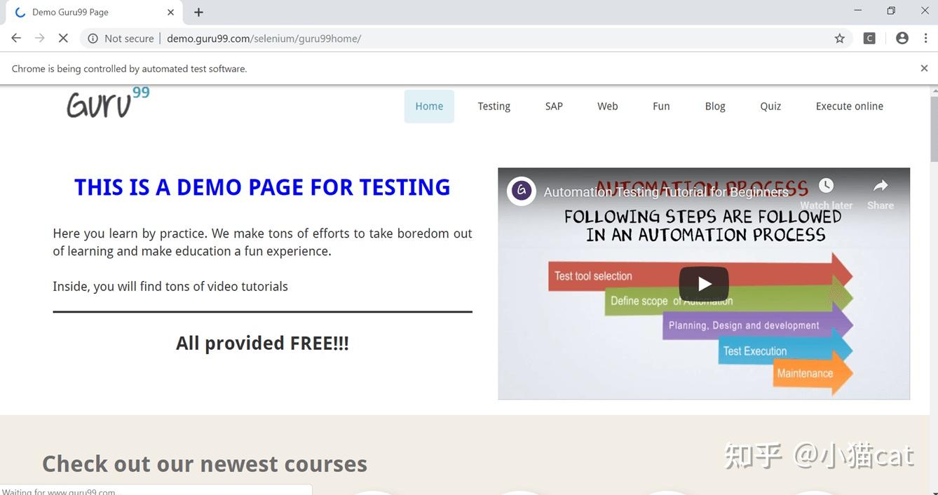  selenium webdriver 
