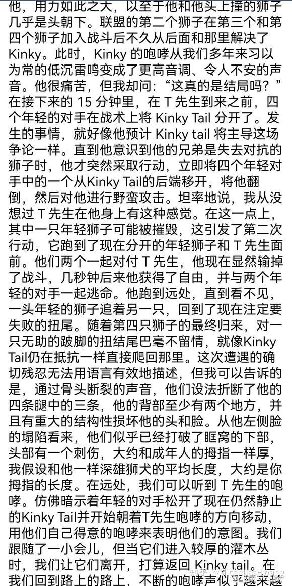 关于坏男孩雄狮联盟的一些旧新闻