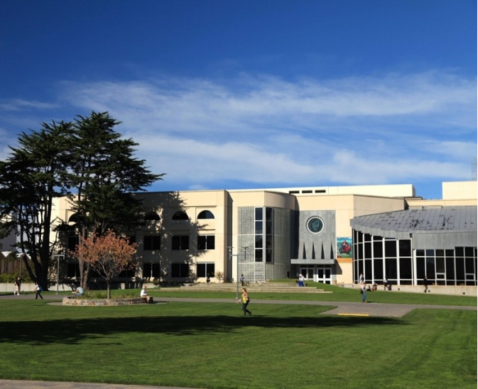 就读于南佛罗里达大学universityofsouthflorida是怎样的体验