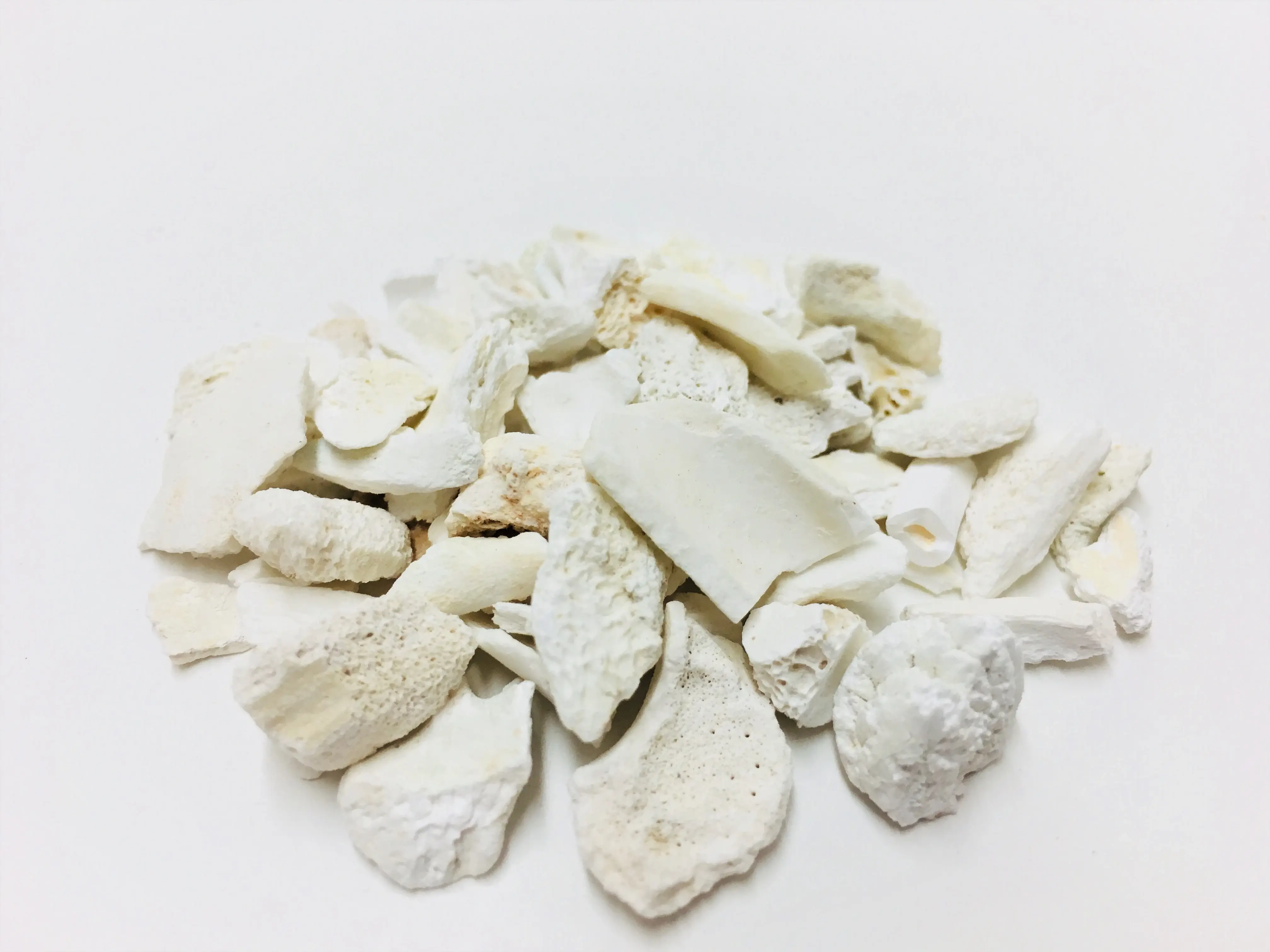 中药龙骨是指什么做的? - 知乎