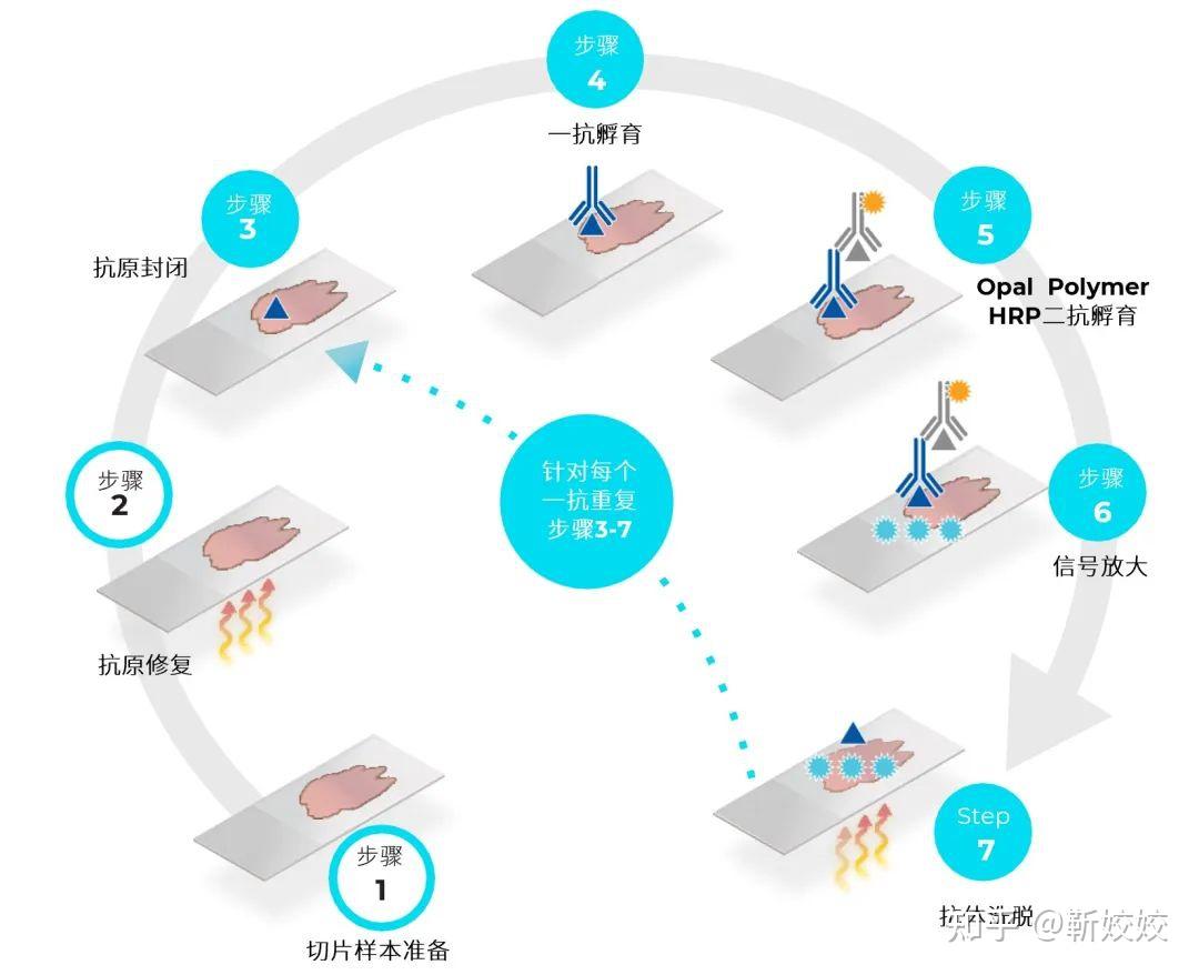 yy.vip易游-火狐Firefox 150版重磅升级：271个安全漏洞被AI一网打尽开源生态面临挑战