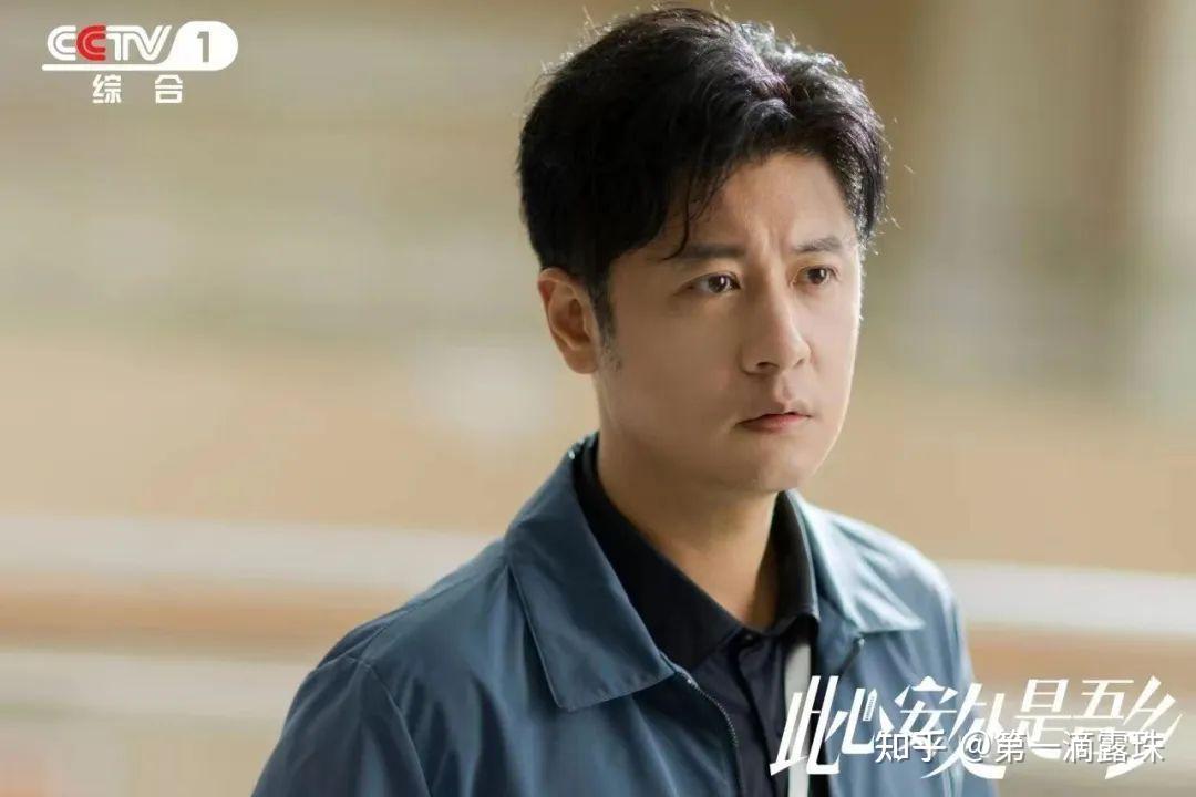 如何评价任重主演的现实政法大剧《此心安处是吾乡》?