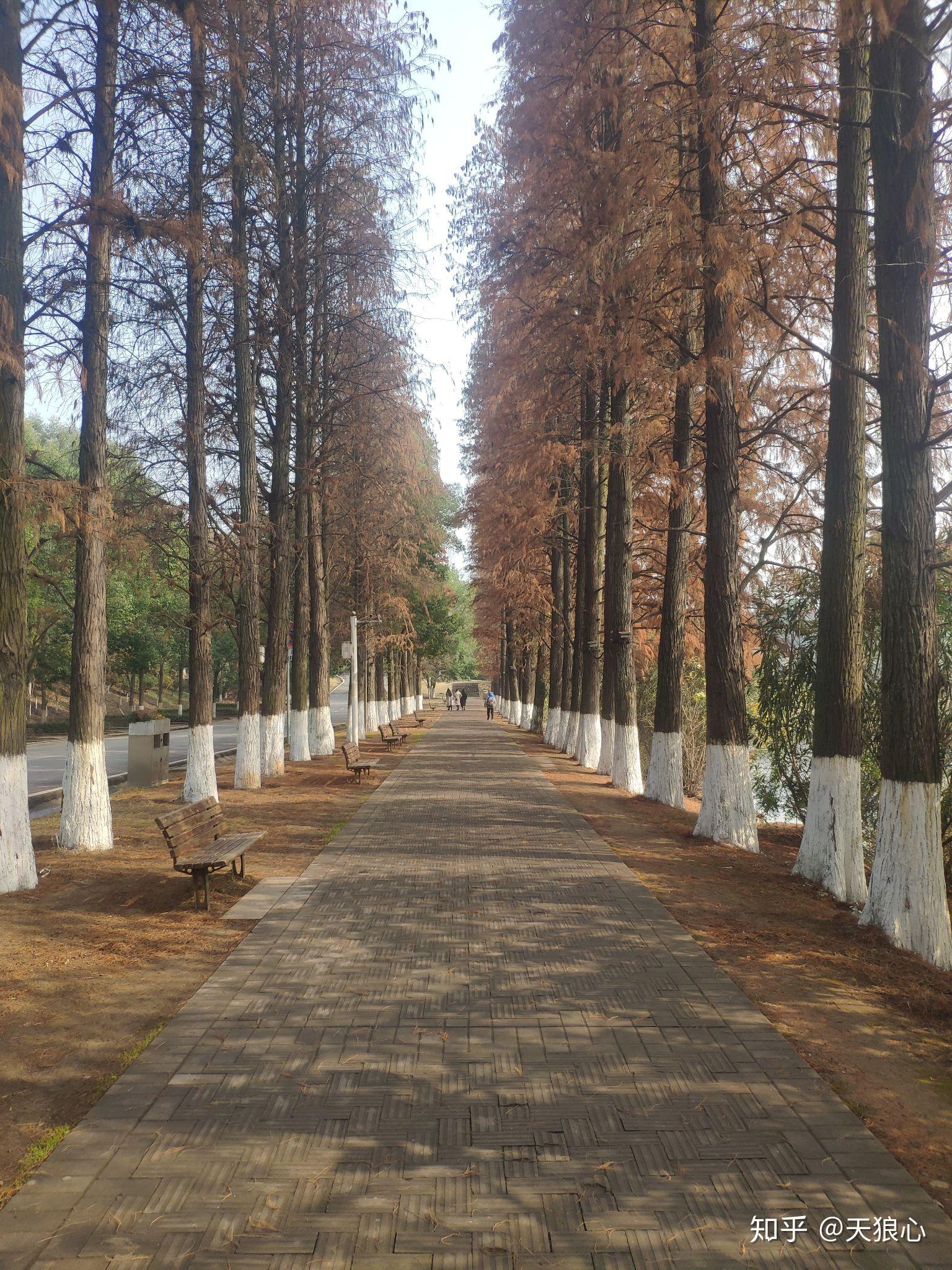 有哪些推荐的微信运动背景图? - 知乎