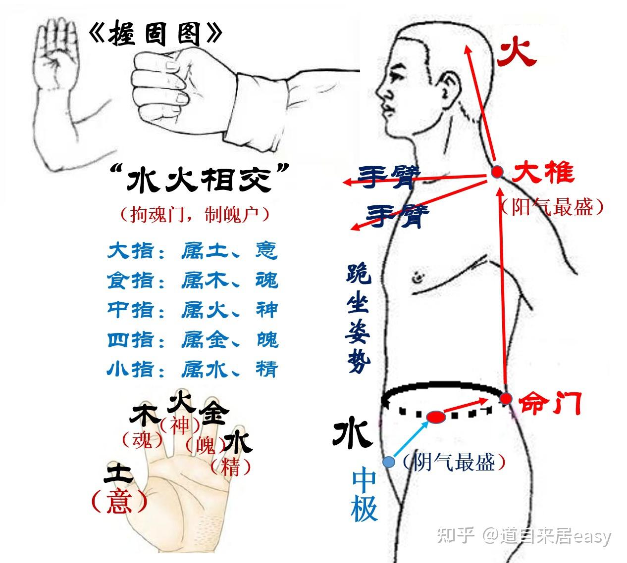 感悟与生俱来的上苍赐福的密钥——握固 - 知乎