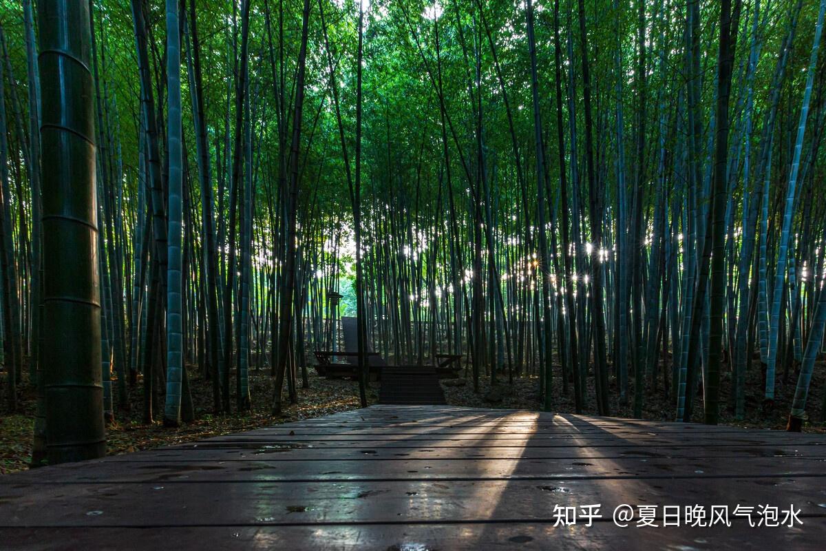 国学经典之痴人说梦 - 知乎