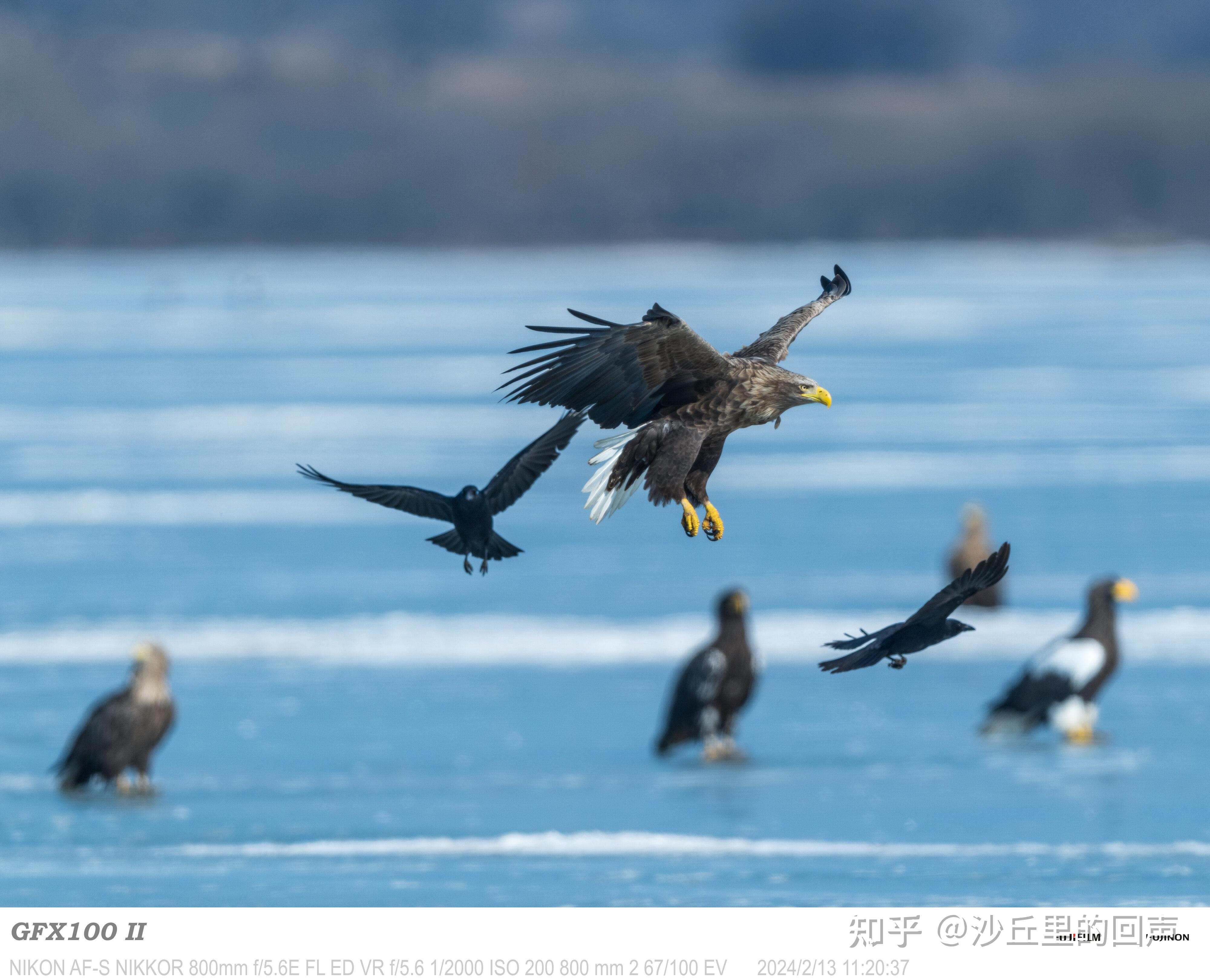 长焦镜头是可以放的很大这个意思吗? - 知乎