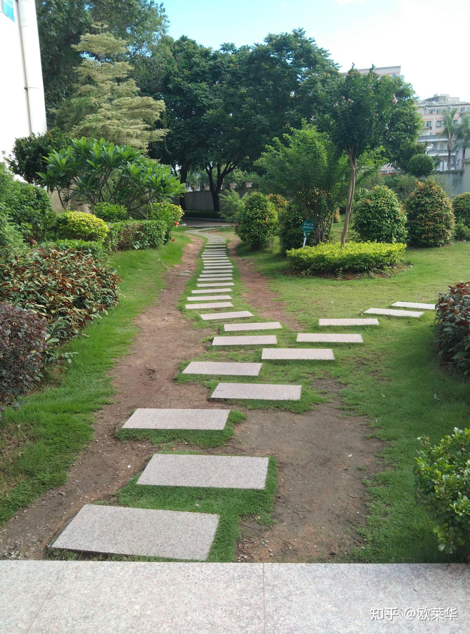 深圳康桥书院怎么样?