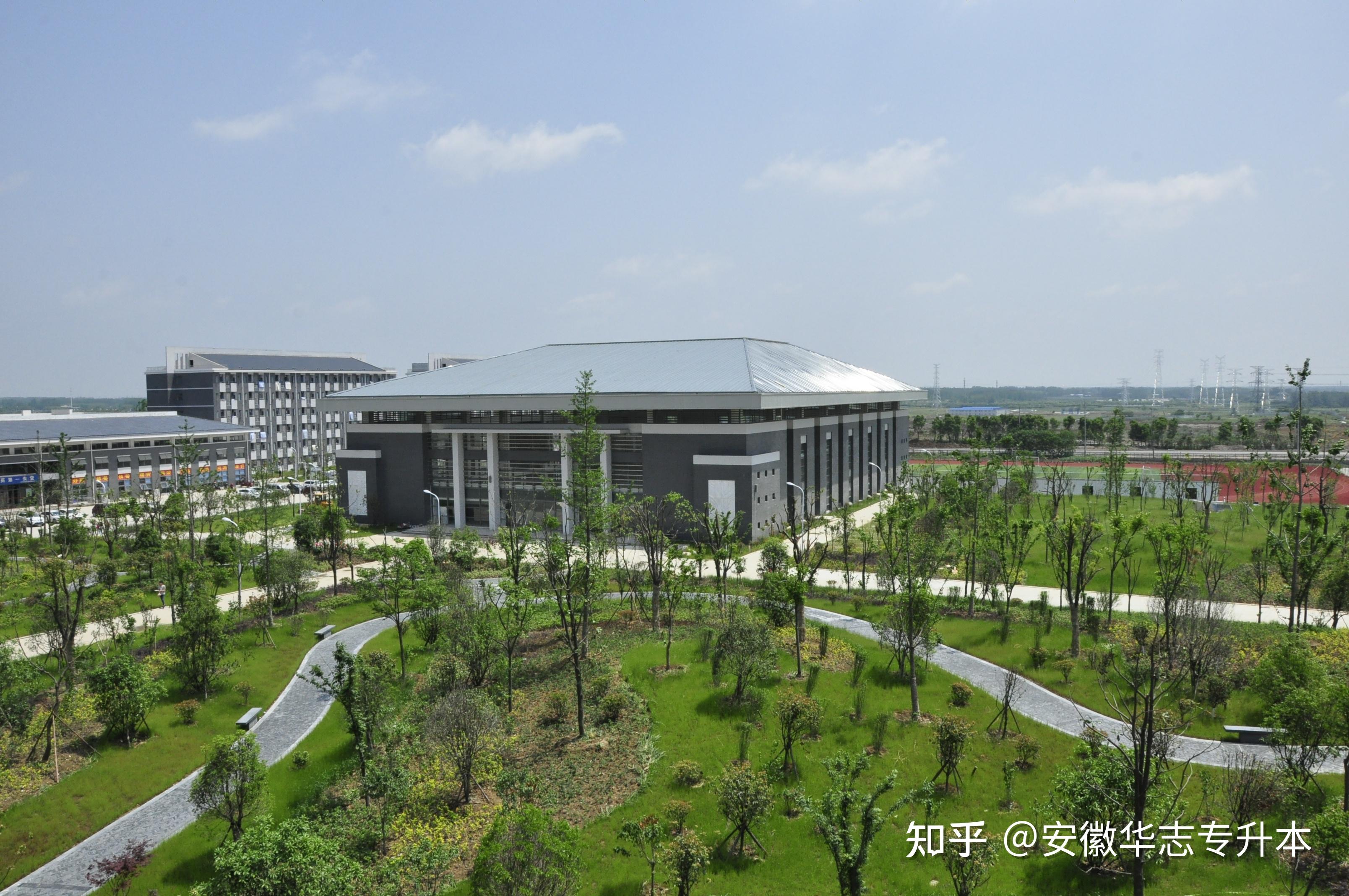 合肥经济学院2022年普通专升本拟招生专业