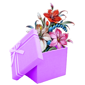 6. 礼盒搭配指南