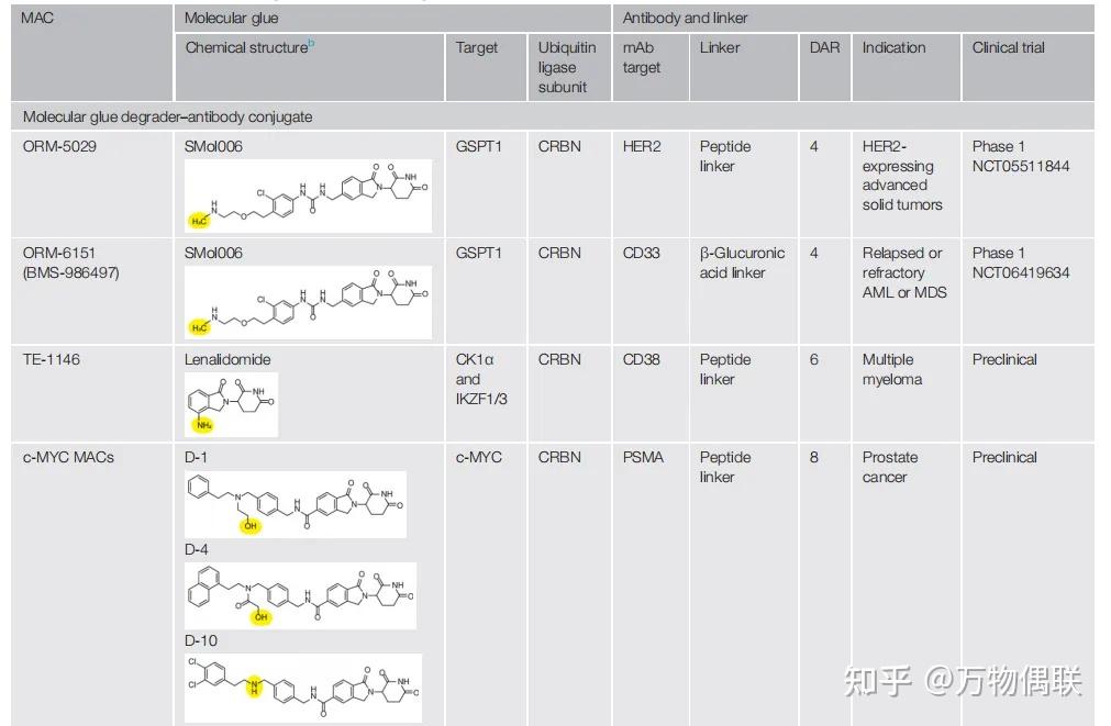 分子胶抗体偶联物：下一代ADC新模式 - 知乎