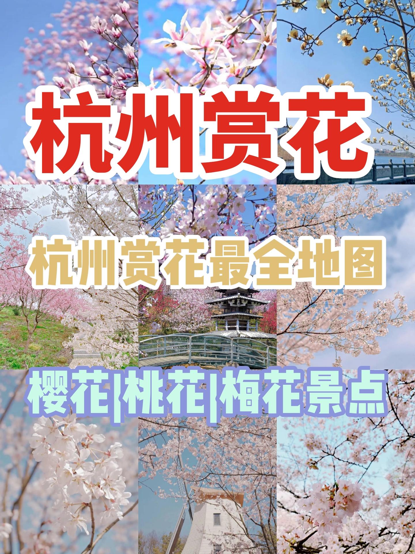 v2-d5d1d71eb44d2bae921a2b735d0c93ca_1440w.jpg?source=172ae18b