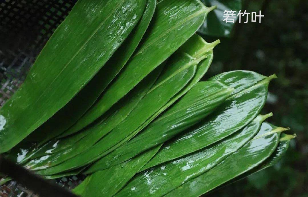 箬叶为什么取代菰叶成为现在主流的粽叶呢？ - 知乎