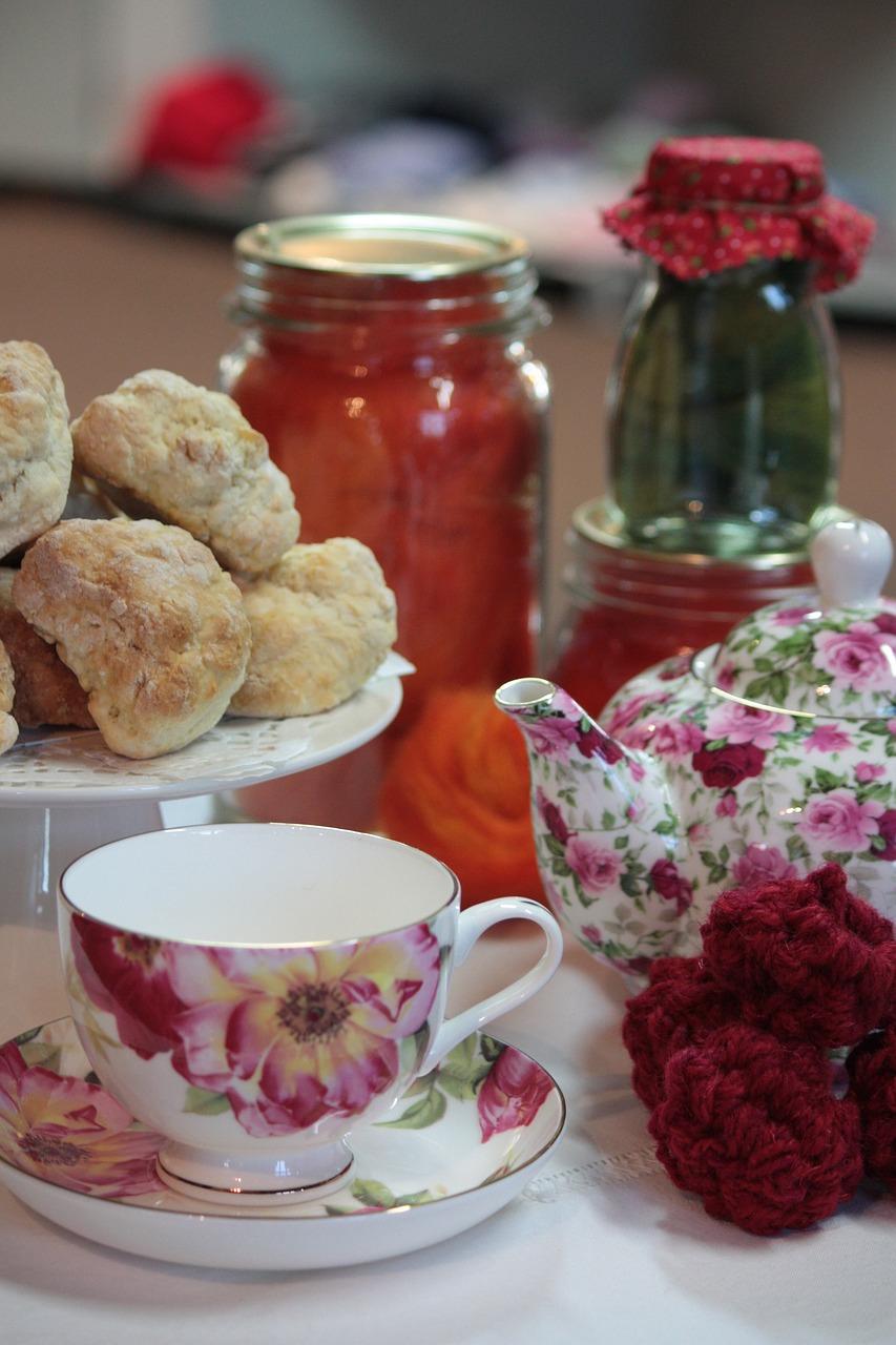 4. 茶杯猫价格区间