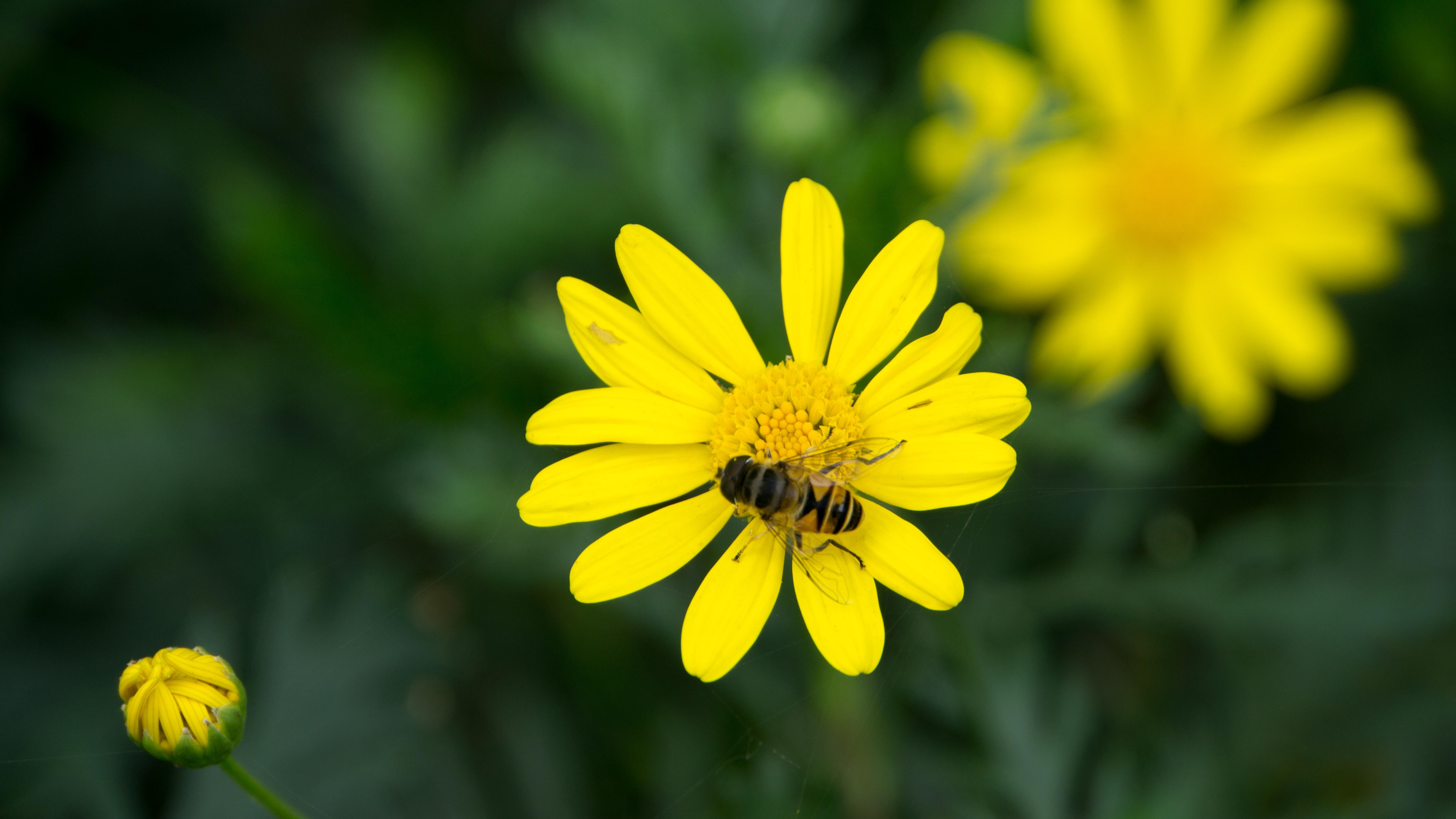 2021年春天,你又抓拍到了哪些美景? - 知乎