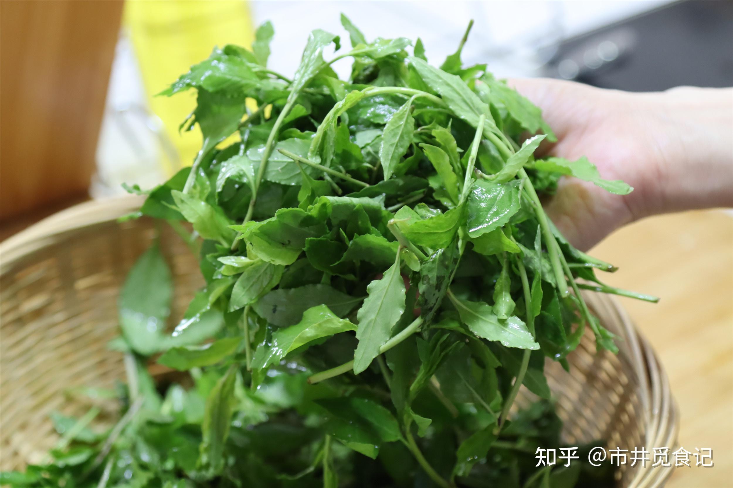 野枸杞芽怎么做好吃? - 知乎