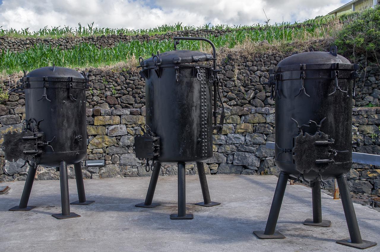 干养绿植养护法