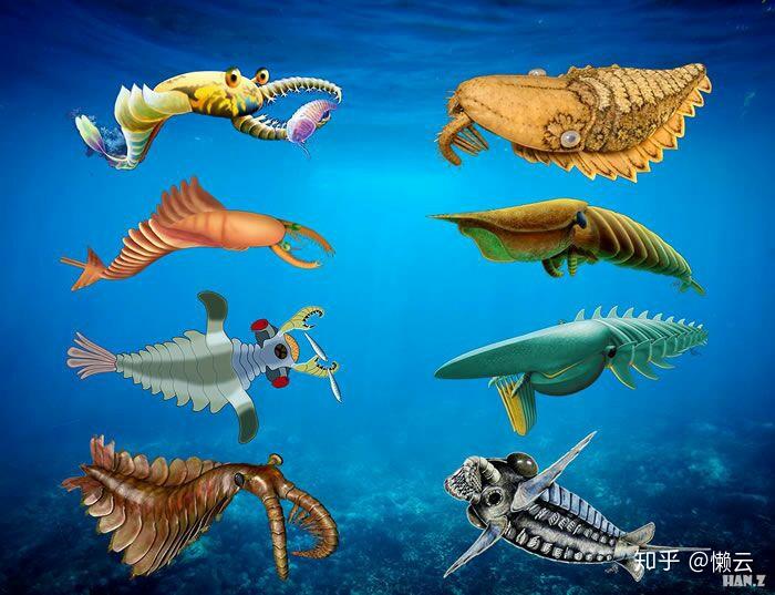 求解这是远古时代的什么物种? - 知乎