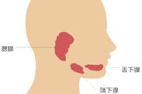 流行性腮腺炎的眼部表現會引發視神經萎縮嗎