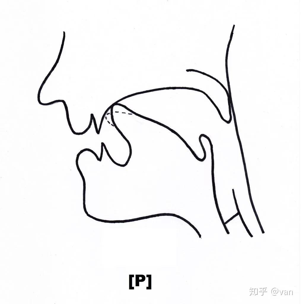 怎么读出俄语颤音? - 知乎